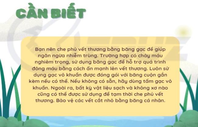Bạn cần biết